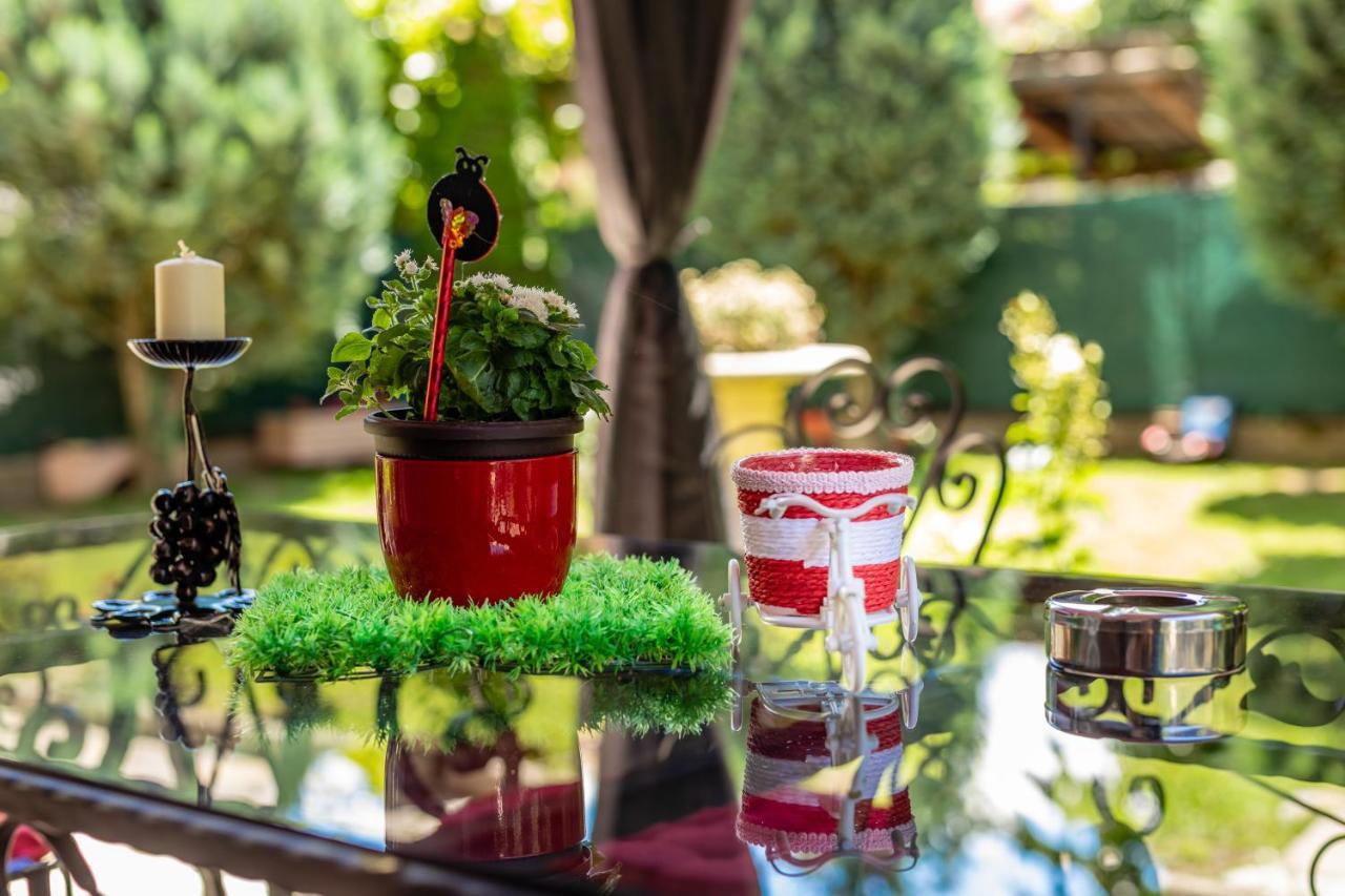 Vila Niko Ohri Dış mekan fotoğraf